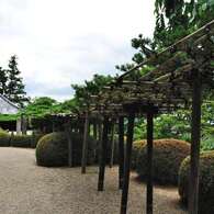 善峯寺11