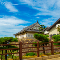 岸和田城　秋空①