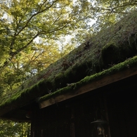 平家の里　２