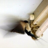 2011年5月14日建築工事開始