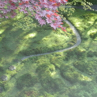 秋の庭