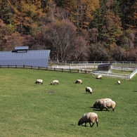 県立まきば公園　２