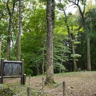 日本100名城N0.83　岩櫃城☆