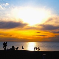 海