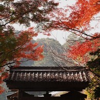本瓦拭門と紅葉