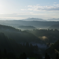 good morning Mr.summer