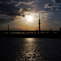 何の変哲も無い夕景