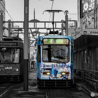 ミク、久しぶりだね