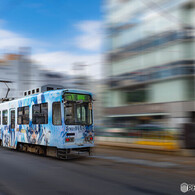 ミク、爆走する