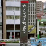 「さくらぎちょう」