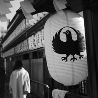 案内は八咫烏（やたがらす）