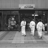 film    どんぐり共和国