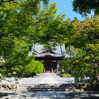 修善寺1
