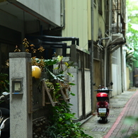 台南路地裏854 