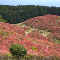 葛城高原