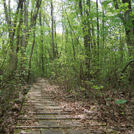 写新と真緑。。時代は超高感度へ