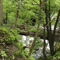 湯川　１