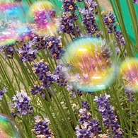 包み込む