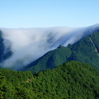FOG FALLS