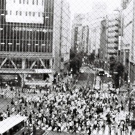 shibuya  no.1