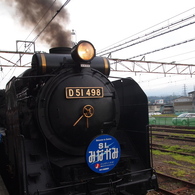 photo_1310104