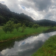 雨上がりの川（8月2日）