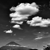 これぞ見つけた！　勘違いでした(-.-;)y