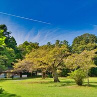 滝山城跡　中の丸