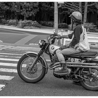 素直にいきると云うこと･･･