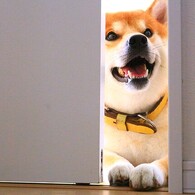 入っても、いい？