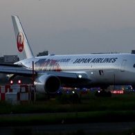 JAL 1358