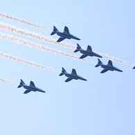 大空を舞うイルカ達