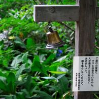 熊に注意