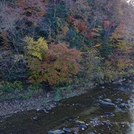 水が綺麗な川と秋色を感じる森（11月17日）