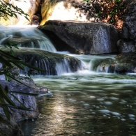 公園のせせらぎ