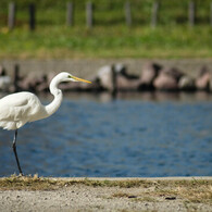 お買い物、お買い物 (^^♪