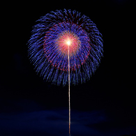 10号自由玉の部【準優勝】「五重芯変化菊」