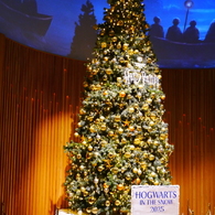 ホグワーツ・イン・ザ・スノー