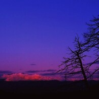 染まる雲