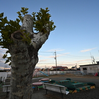 お散歩途中の風景_０２