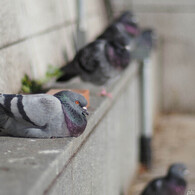 The road to OM-5 MarkⅡ  煮詰まる日々