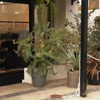 北青山界隈　２