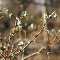 キャラクター不詳