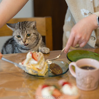俺のケーキだにゃん！