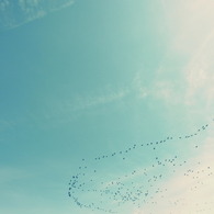 空