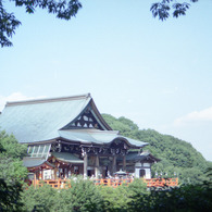 朝護尊氏寺