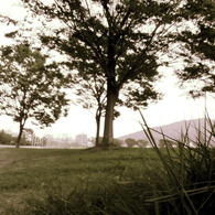 tamiya park