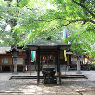 20110730-等々力渓谷21