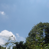 夏空