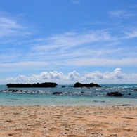 L1000219